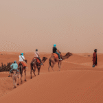 morocco student tours
